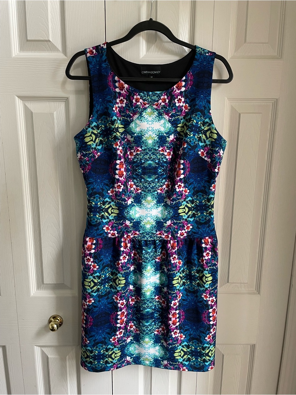 Cynthia Rowley Sleeveless Fit and Flare Drop Waist Floral Print Dress Size 14